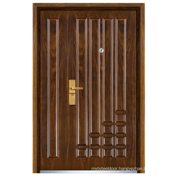 Steel Wooden Door (FXGM-C319B)